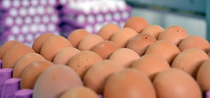 Yumurta silahtan sayıldı