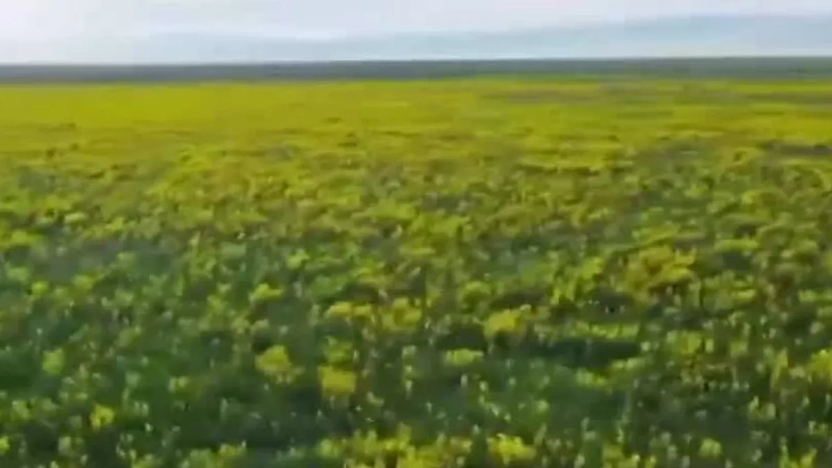 Eber Sarısı için denetimler arttırıldı