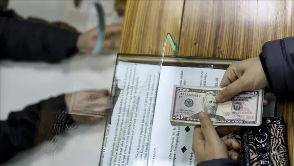 Ekonomist görünümlü spekülatör! "Dolar 50 TL olacak" diyerek vatandaşı dolandırdılar - 8