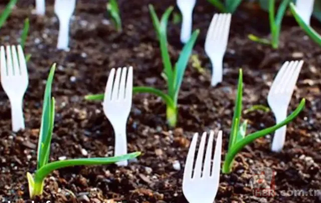 Muz kabuğuyla ayakkabınızı silerseniz... 24