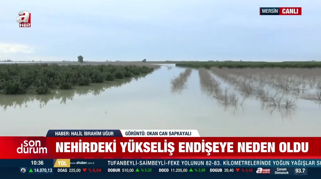 Çukurova risk altında mı?