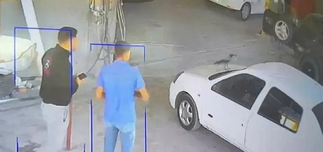 Akılmalmaz olay! Hırsız karga çıktı