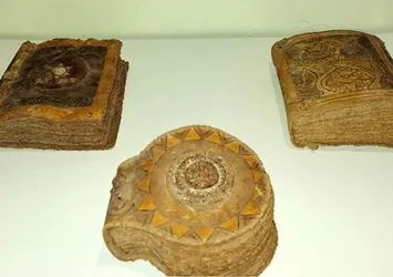 Değer biçilemiyor! Bolu'da ele geçirildi