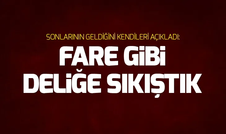 PKK’lının maillerinde ortaya çıktı: Fare gibi deliğe sıkıştık…
