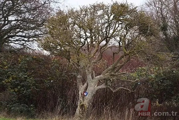 Bursa’da 7 yıl önce kardan yaptığı kadınla evlendi! Şimdi de bakın ne hediye etti 18