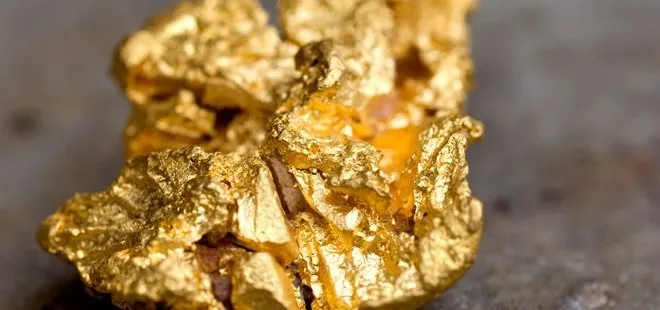 Dedektörle 420 bin TL’lik altın keseği buldu