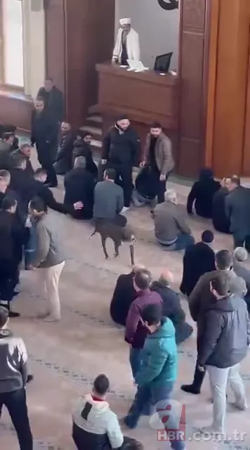 Camiye giren pitbull cemaatte panik yarattı! O anlar kamerada 1