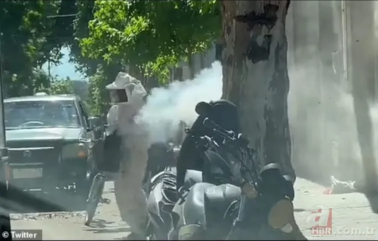 Sürü halinde ortaya çıkıp saldırdılar! İnsanlar araçlarını olduğu yerde bırakıp kaçıştı… 3