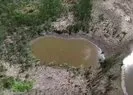 Kuraklık nedeniyle kuruma noktasına geldi