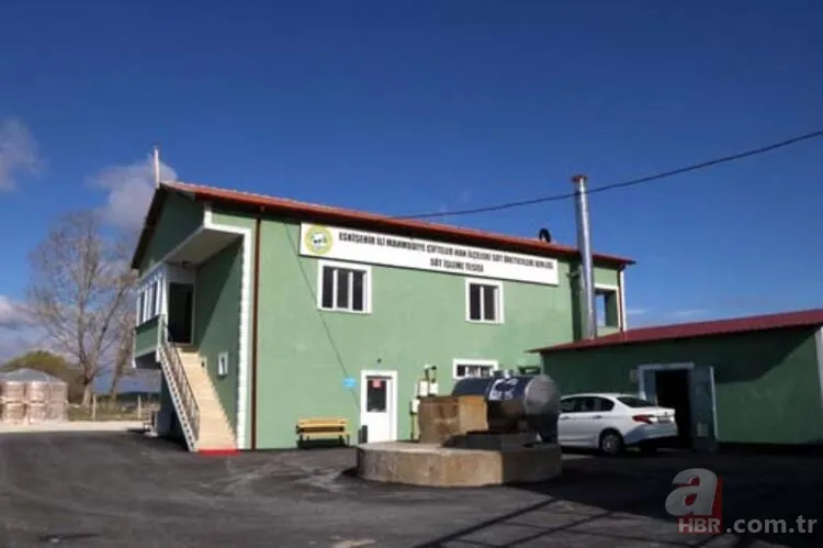 Aracını satıp bu işe girdi hayatı değişti! Memleketinde gelir kapısı oldu! Şimdi paraya para demiyor... 5