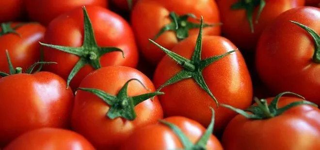 Rusya ile Türkiye arasında domates ihracatının önünü açan imza atıldı