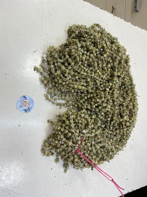 cicek-bamyanin-fiyati-gram-altina-yaklasti-1666689483740.jpg Çiçek bamyanın fiyatı gram altına yaklaştı! - 4