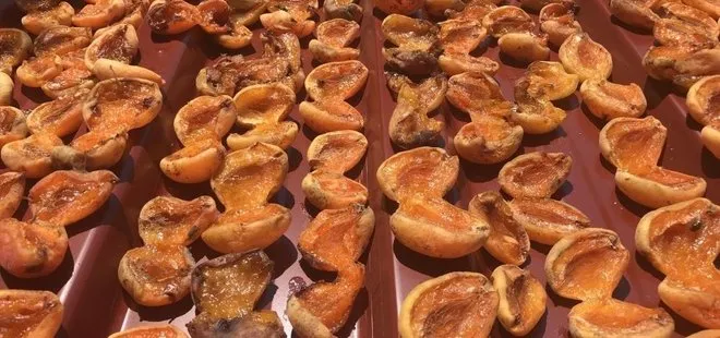 Tazesi 100 lira kurusu 1000 lira! 4 kilosu gram altınla yarışıyor