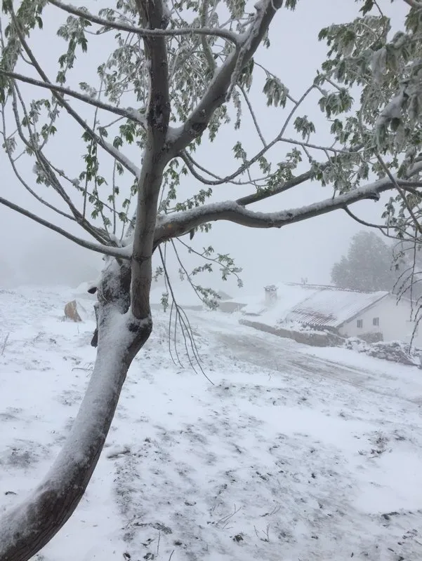Antalya’da bayram sabahına kar yağışıyla uyandılar, telefonlara sarıldılar