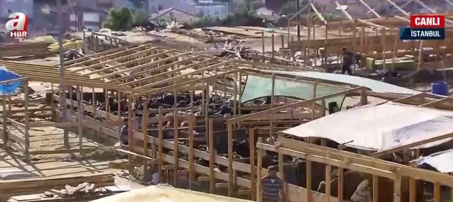 Bayramın 3. gününde kurban pazarları! Elde kalan kurbanlıklar ne olacak?