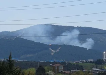Son dakika: Aydos'ta korkutan yangın!
