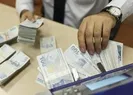 Ziraat Bankası destek kredisi sonuçları sorgulama