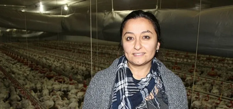 Tavuk çiftliğinden milyonlar kazanıyor