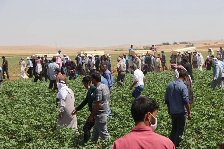 Şanlıurfa'dan kahreden kare! 7 tabut yan yana...