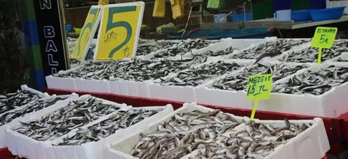 İstavritin kilosu 5 liraya düştü! Vatandaş kasayla almaya başladı