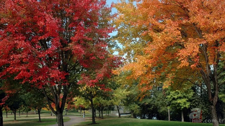 Dünya’nın mevsim haritası yenilendi: Uyumsuzluk sanıldığından büyük 1