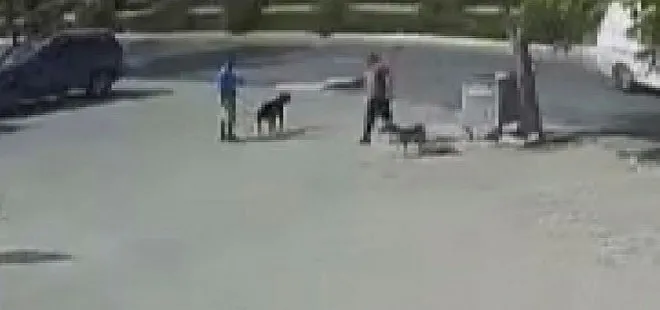 İstanbul’da sokak köpeğini silahla öldüren saldırgan kamerada