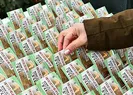 Milli Piyango 10.000 TL kazanan numaralar