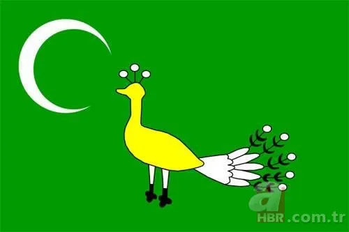 İşte Türklerin soyağacı! Hangi il hangi boydan geliyor? 10