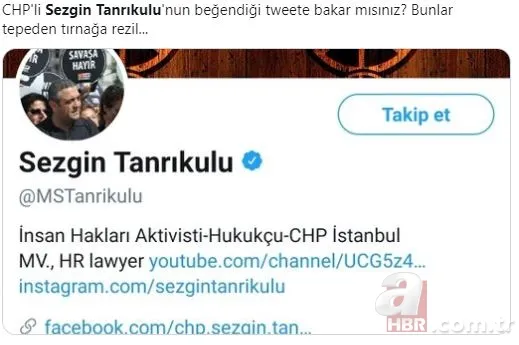 Sezgin Tanrıkulu porno videosunu beğendi! Sosyal medya yıkıldı... 1