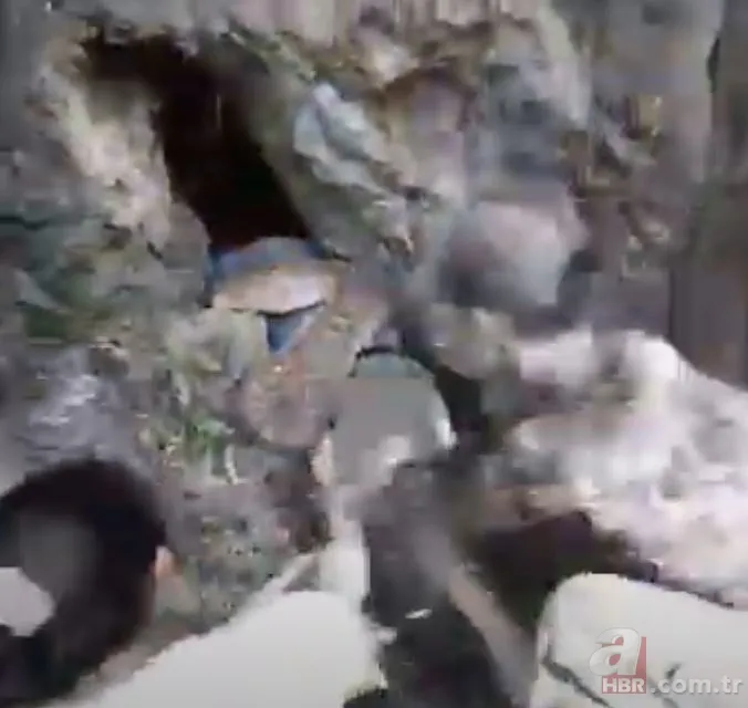 Anakonda ormanda insana saldırdı 🐍 Tam mağaraya götürürken... 13