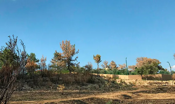 Manavgat'taki yangında önce kendi evini koruyan CHP'li Belediye Başkanı Şükrü Sözen'den skandal hamle! Evi için harekete geçti - 3