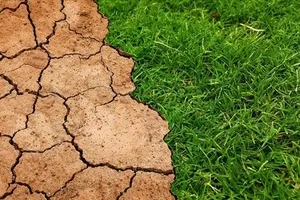 İklim Kanunu yasası Meclis’ten geçti mi?