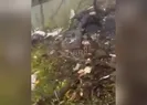 Reisinin helikopterinin enkazına ulaşılma anı!
