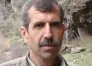 Bahoz Erdalın öldüğü kesinleşti