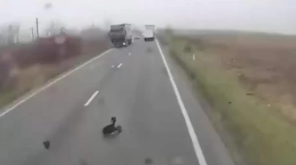 Şerit takip sistemi nedir ve nasıl çalışır?