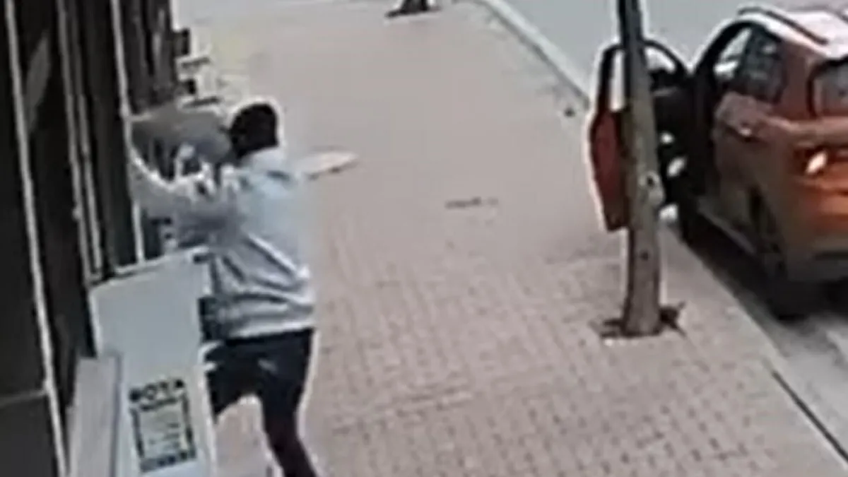 Balkona tırmanıp cins kediyi çaldı