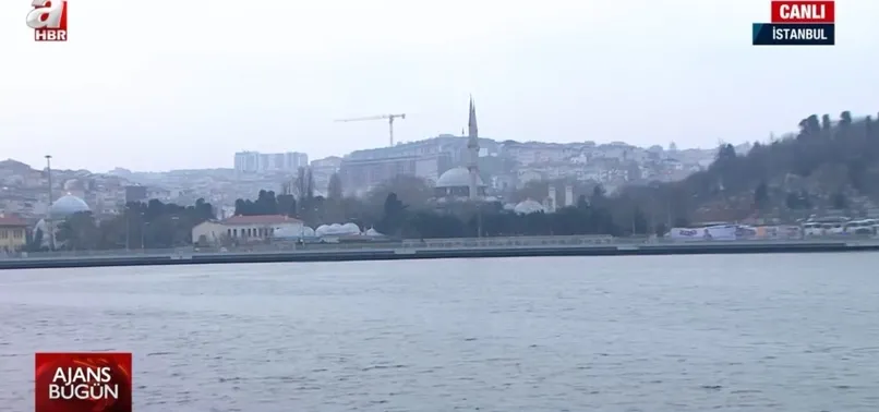 Türkiye Yüzyılı’nda tarım, ormancılık ve hayvancılık! A Haber ekipleri sahada