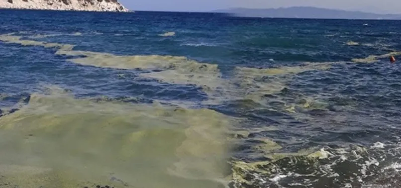 İzmir Çevre Durum Raporu kirliliği gözler önüne serdi! Atık bertarafında uygun alan kalmadı