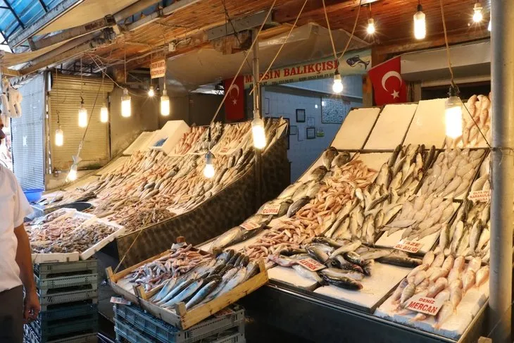 ’Türk balığı dünyada aranan balık haline geldi’
