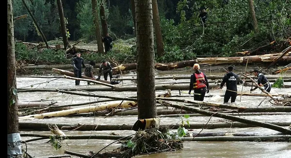 Son dakika | Kırklareli'ndeki ruhsatsız işletmenin sahibi yakalandı - 4