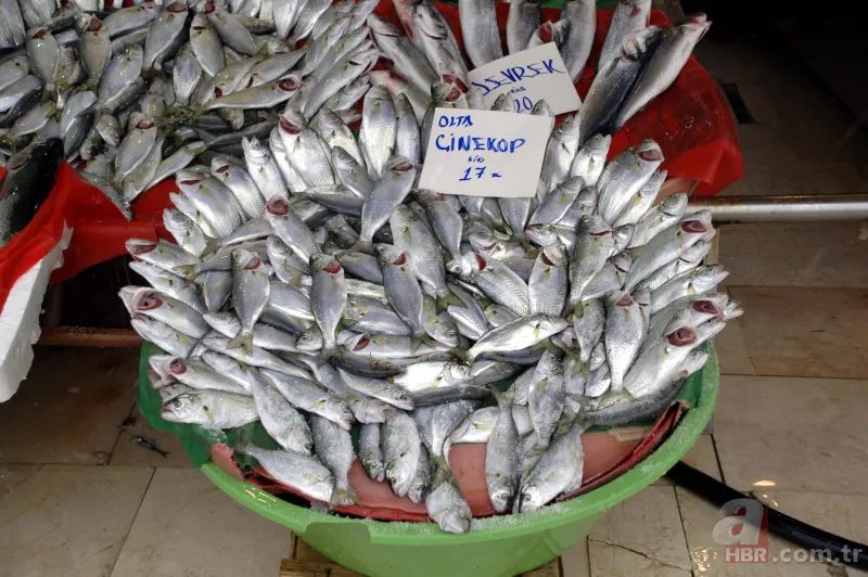 Balık fiyatları ne zaman düşer | Halden tezgaha bölge bölge fiyatlar değişiyor 2