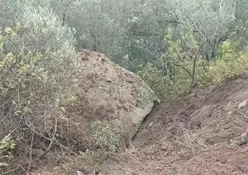 Ayvacık'ta toprak kayması! Düşen kaya parçası paniğe neden oldu