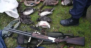 Kuş cennetinde dehşete düşüren görüntü!