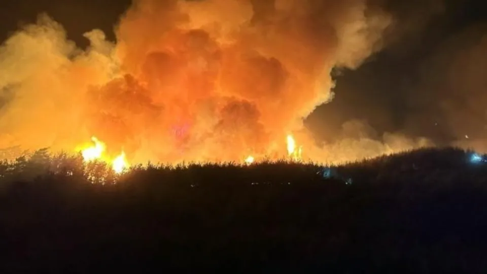 Muğla Milas’ta orman yangını! Bir mahalle tahliye ediliyor