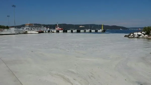 İmamoğlu’nun ’Temel Atmama Töreni’ şovundan sonra Kılıçdaroğlu fena çark etti! İşte müsilaj çözümü: Biyolojik arıtma lazım