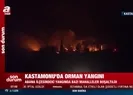 Kastamonuda orman yangını