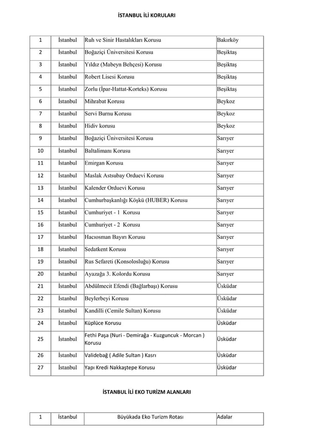 İstanbul’da ormanlara giriş yasak mı? Giriş yasağı olan ormanlar hangileri? İşte mangal yasağı olan ilçeler...