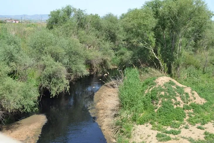 Alaşehir Çayı'ndan zehir akıyor! Korkutan görüntü! Simsiyah oldu