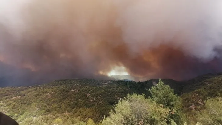 Son dakika: Antalya Manavgat’ta orman yangını! Alevler yerleşim yerlerine sıçradı