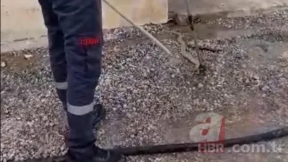 Kırıkkale’de 2 metrelik yılanı görünce ne yapacaklarını şaşırdılar! 🐍